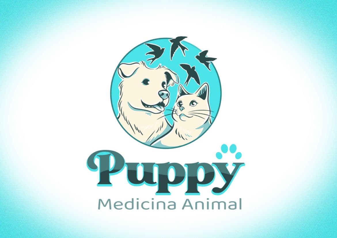 Puppy Medicina Animal Puppy Medicina Animal